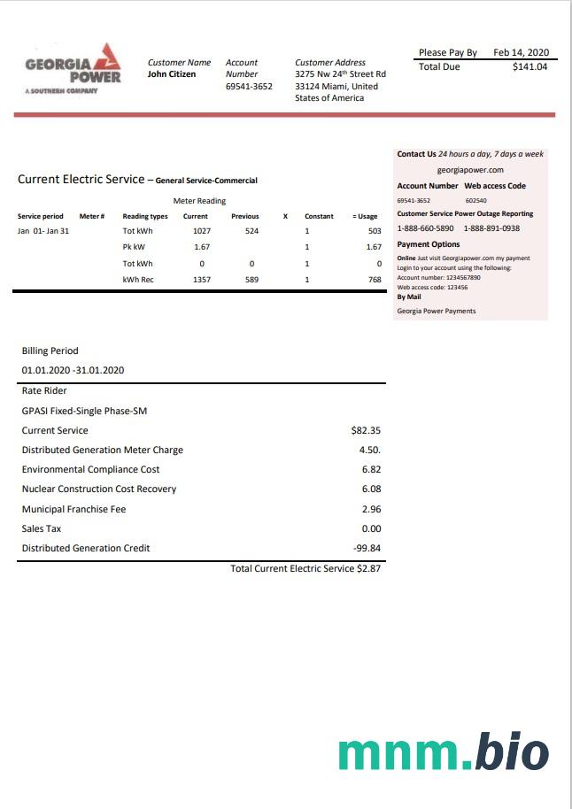 USA Georgia Power rachunek za media szablon w formacie Word i PDF, w pełni edytowalne